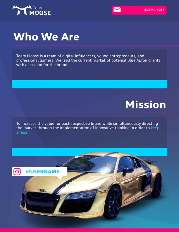 Team Moose Marketing Page 2